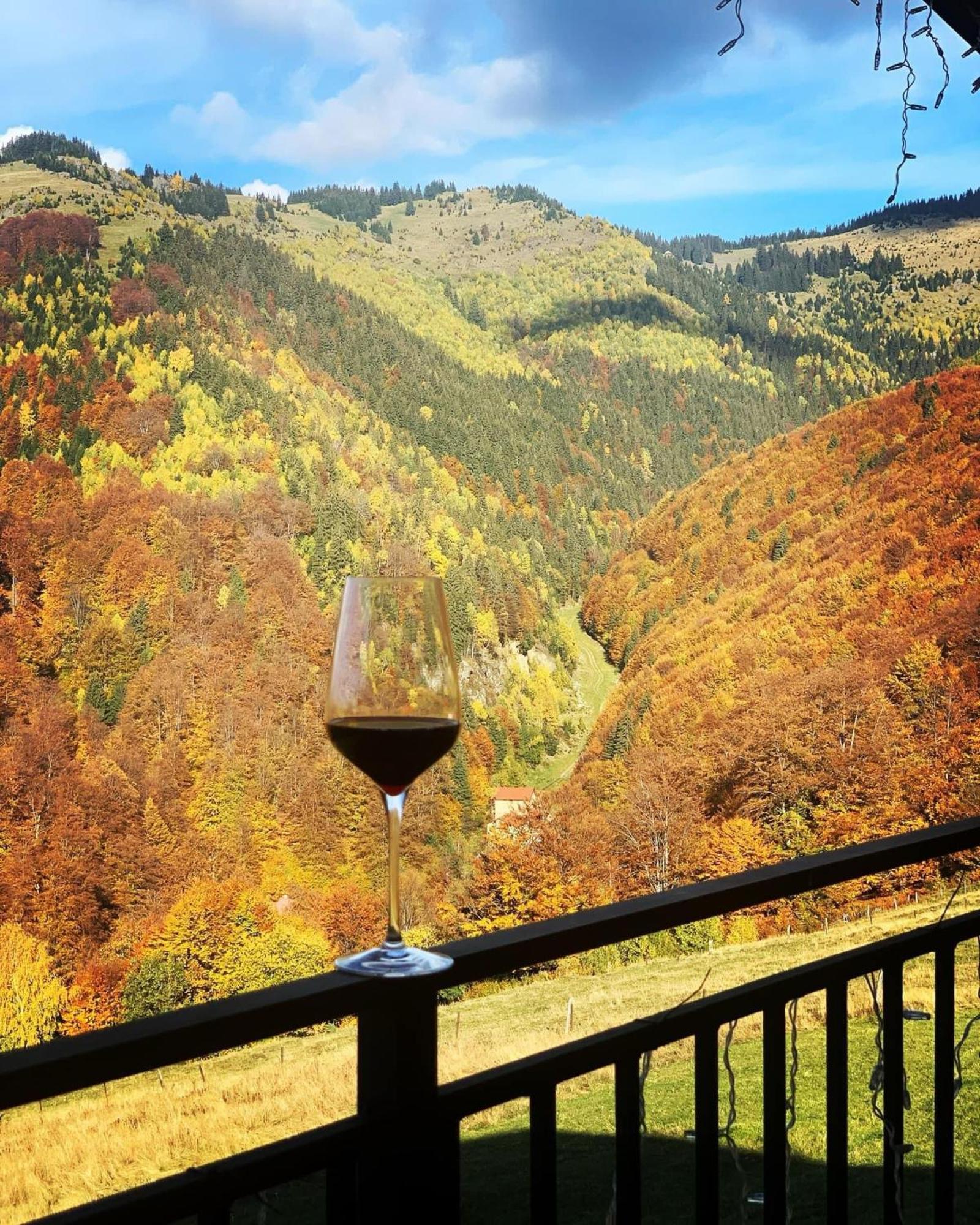 Villa Wild Rooms Jiet Cameră foto